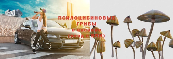 спайс Надым