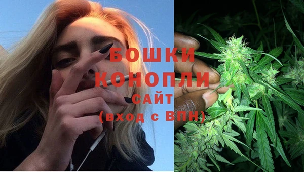 спайс Надым