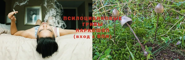 дурь Навашино
