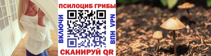 hydra ссылки  Алагир  Галлюциногенные грибы Cubensis  цены  